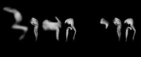Goy Gadol