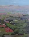 Izrael vally