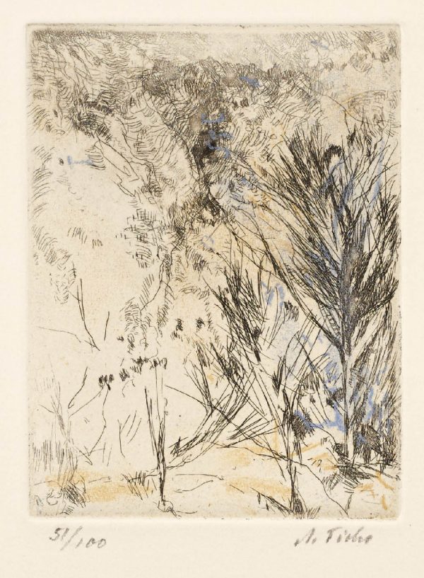 ⁦נוף יהודה⁩ – תמונה ⁦2⁩
