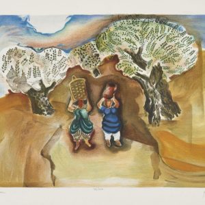 קוטפי זיתים