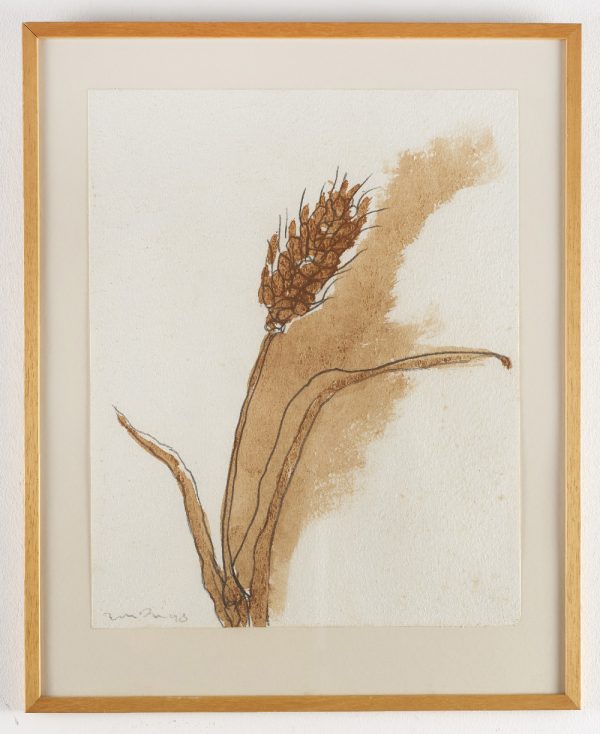 Wheat