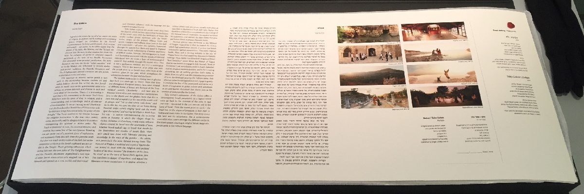 Toby Cohen Golem Portfolio