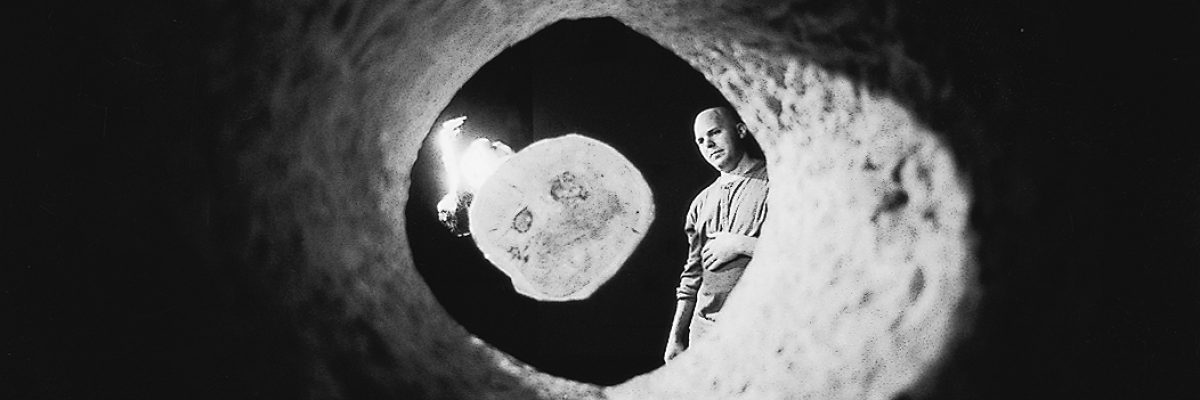 יואב בן דב - זית 2 (ב)