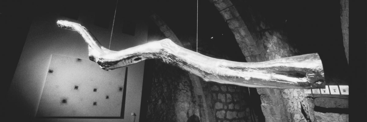 יואב בן דב - זית 3 (ב)