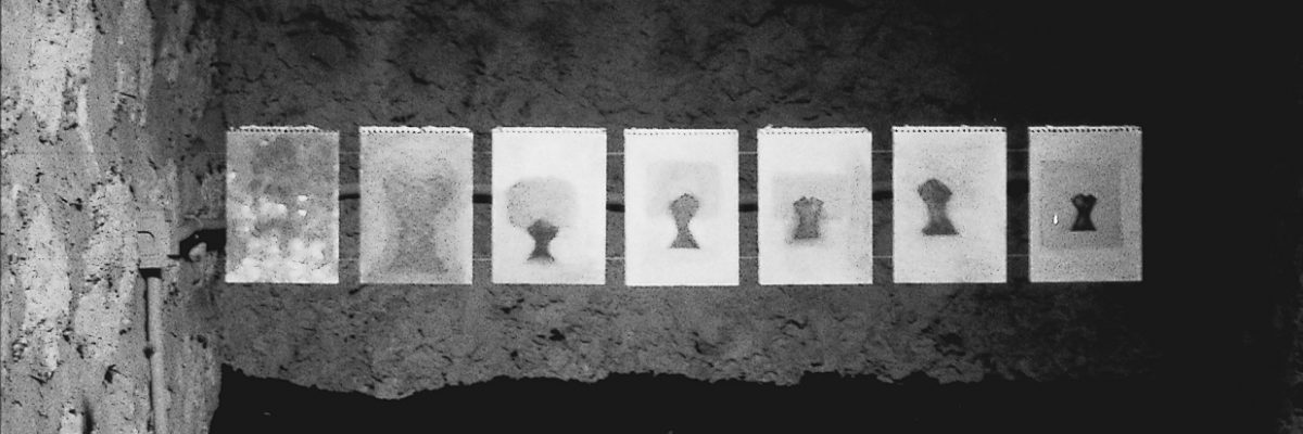 יואב בן דב - זית 4 (ב)