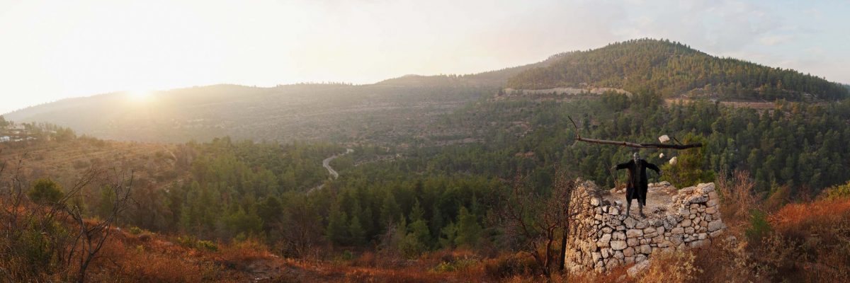 טובי כהן - מס' 7 זעם