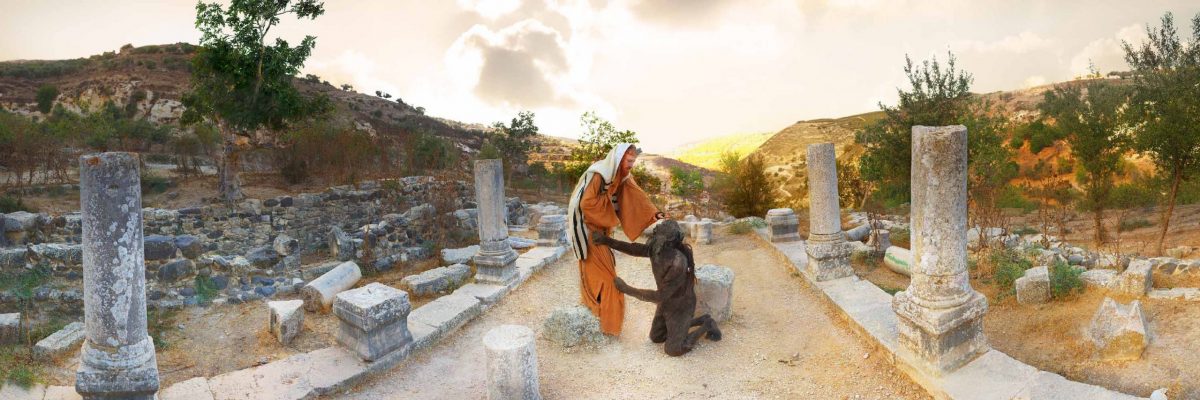 טובי כהן - מס' 8 הרס